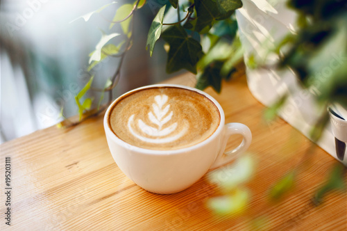 Hot coffee cappuccino latte art in white ceramic cup on wooden table with small plant. Coffee cup top view on old wooden. Coffee cup in coffee shop