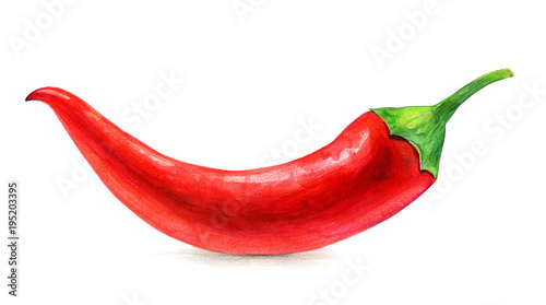 Red chili isolated on white, hand drawing. photo