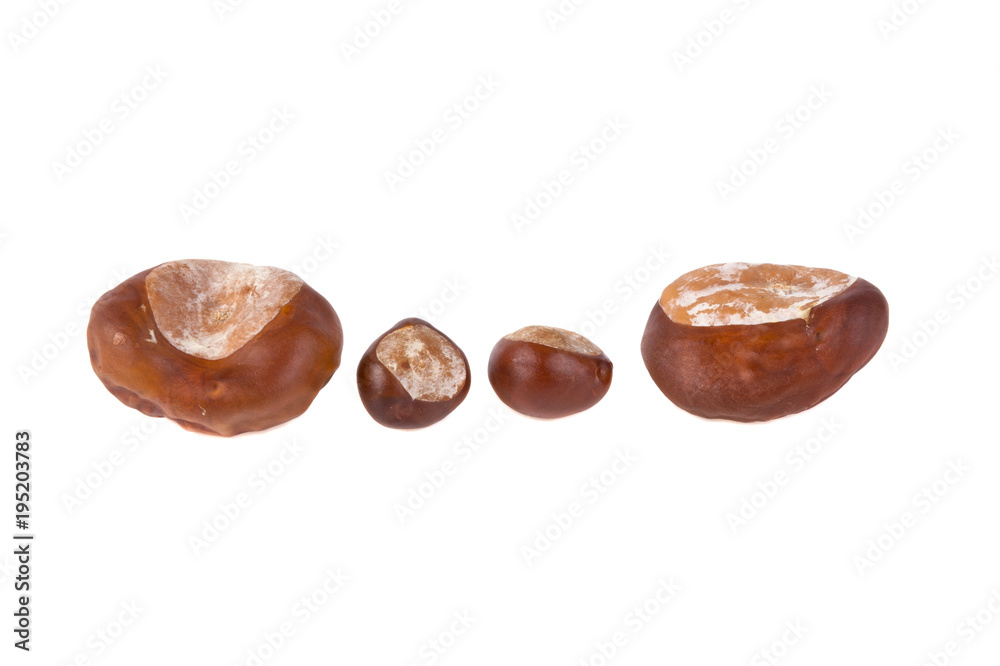 chestnuts isolated on white background