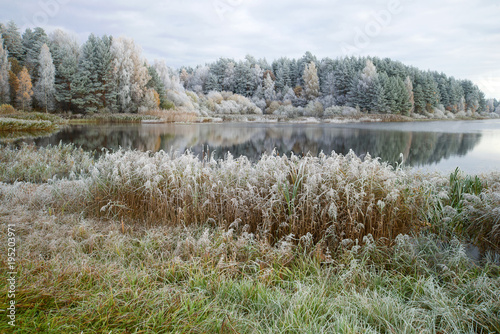 October frost at the lake. Pskov region, Russia