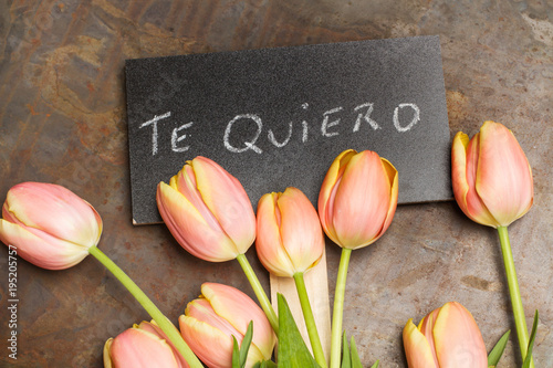 Tulipanes rosados con cartel Te Quiero mensaje vista desde arriba photo