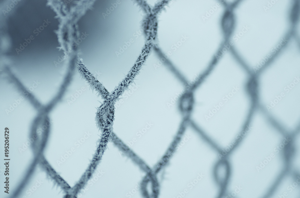 Naklejka premium Mrozem malowane elementy metalowego płotu. 