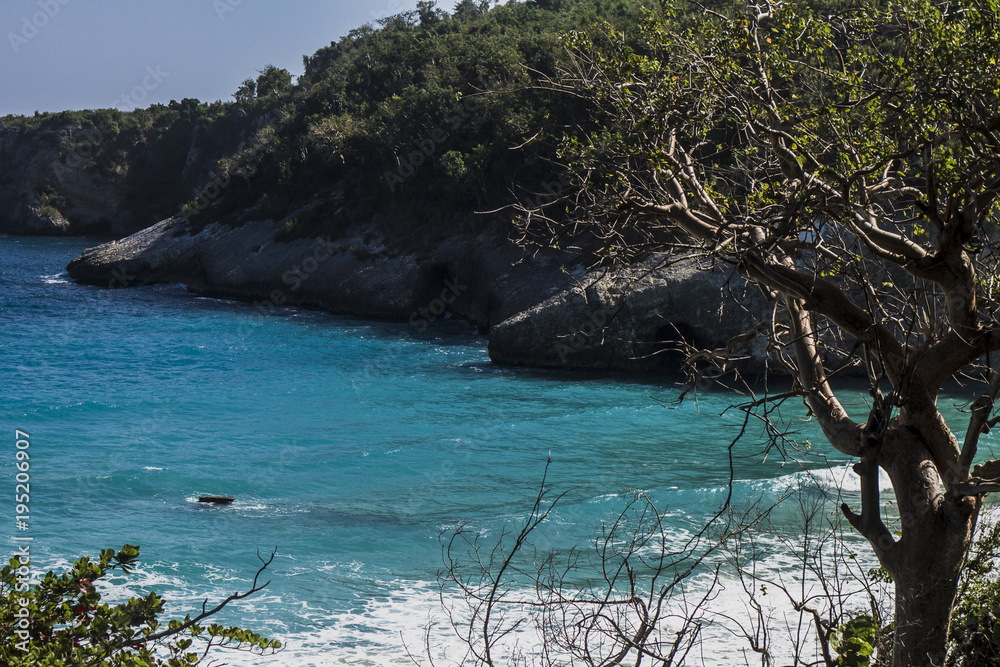 Caribbean Sea, shore with caves and a shipwreck. Trees in the foreground,  sunny day. 'Grand Anse' region, Jeremie, Haiti. Stock Photo | Adobe Stock