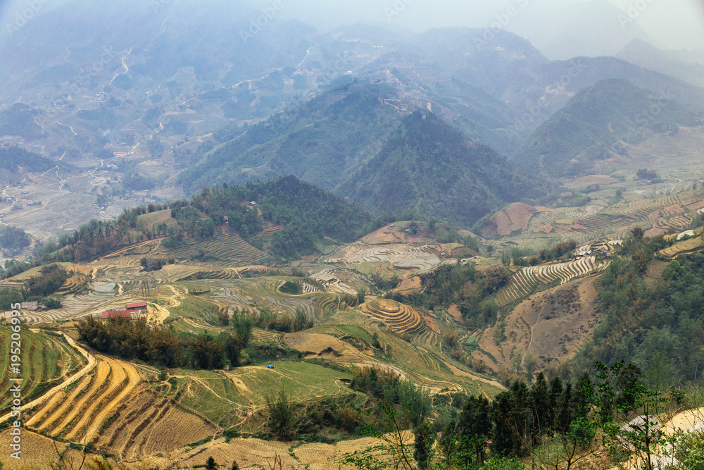 Landscape with step ladder farm and mountain with fog in the evening in summer at Sa Pa, Vietnam.