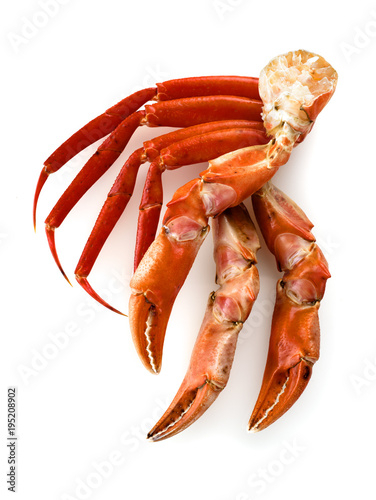 red king crab legs isolated