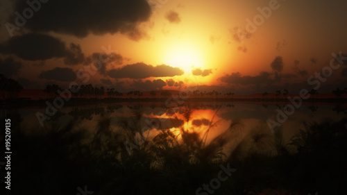 Photography sunset over oasis