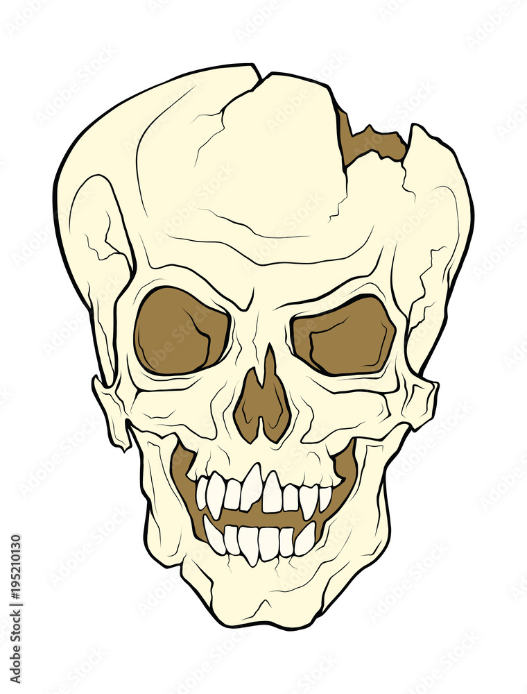 The skull of a grinning vampire. Vector color illustration of a tattoo style isolated on a white background.