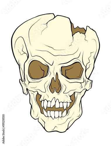 The skull of a grinning vampire. Vector color illustration of a tattoo style isolated on a white background.