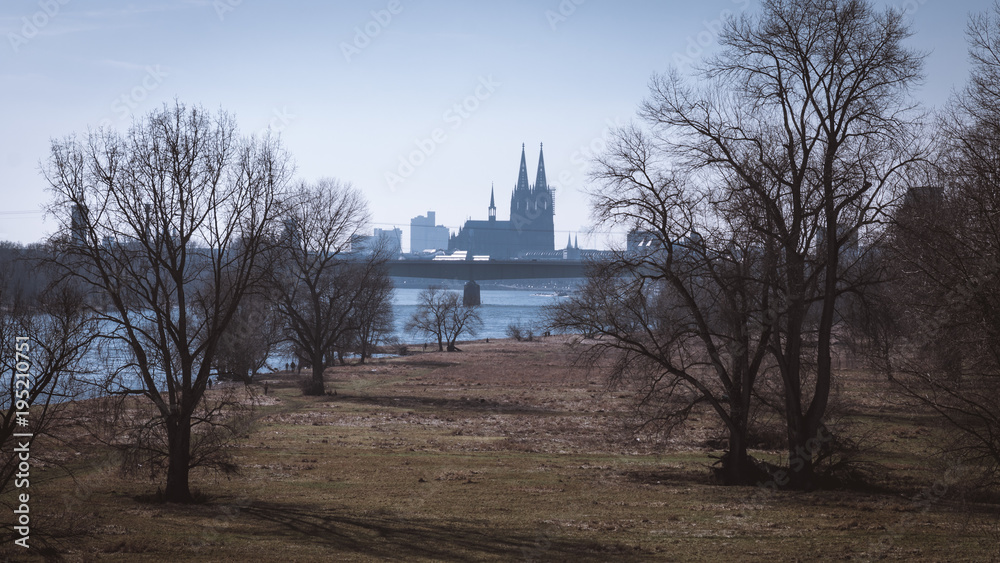 Cologne cathedral and the rhine 3