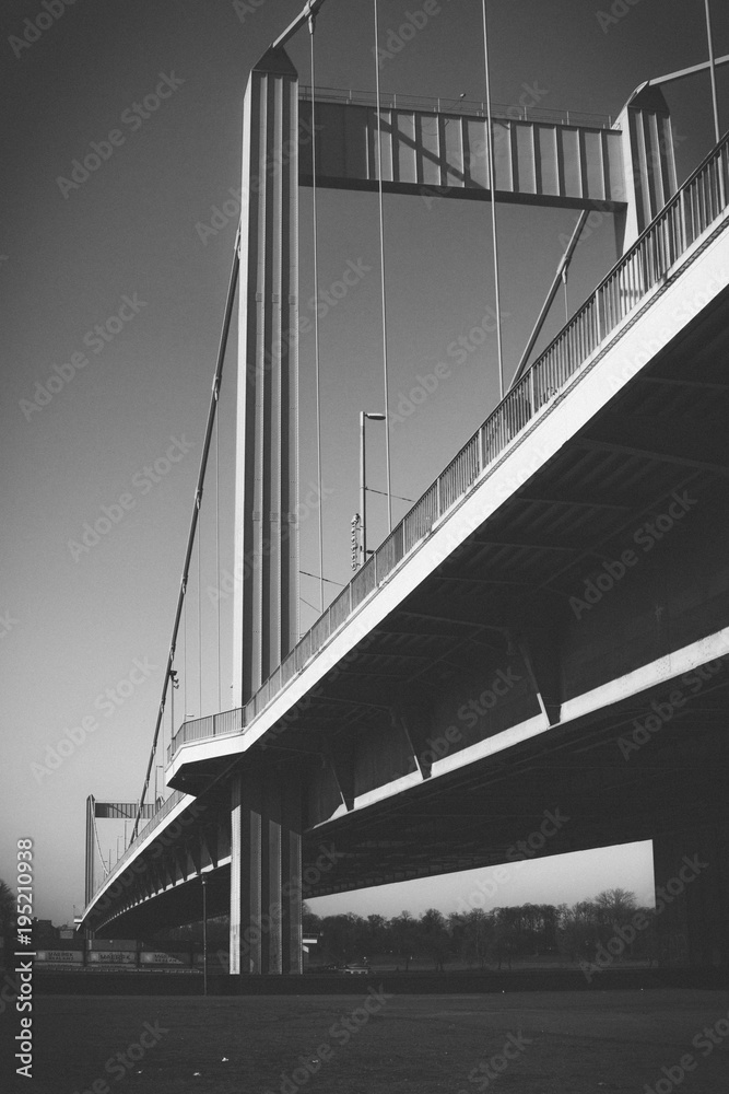 Fototapeta premium Bridge over the rhine 3