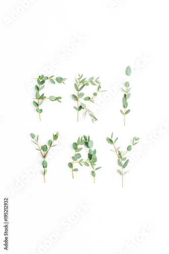 Urban word Friyay. The last day of the work week concept made of eucalyptus branch on white background. Flat lay, top view Friday composition..