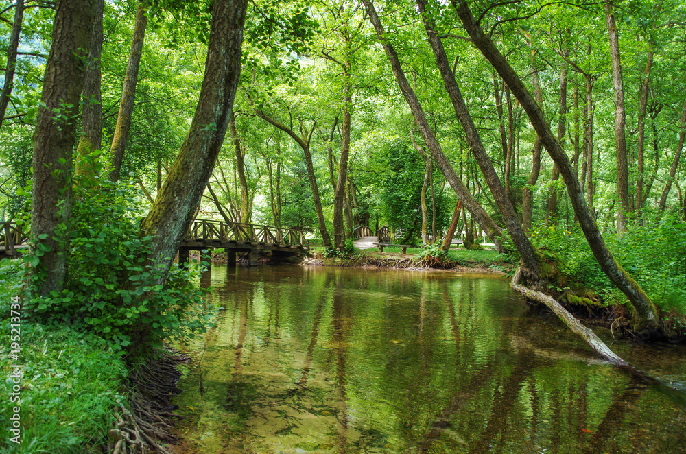 Beautiful forest landscape with reflections of trees in the water. Bosnia and Herzegovina, public park Vrelo Bosne, near Sarajevo, river Bosna Beautiful forest landscape with reflections of trees in the water. Bosnia and Herzegovina, public park Vrelo Bosne, near Sarajevo, river Bosna