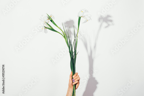White flowers with long stems in a female hand