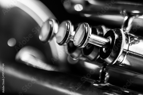 Classic musical cornet of black and white.	