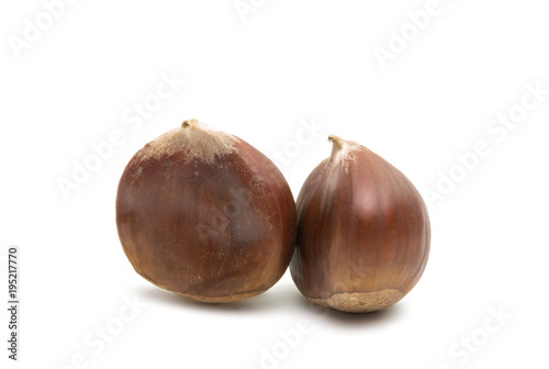 chestnut edible isolated