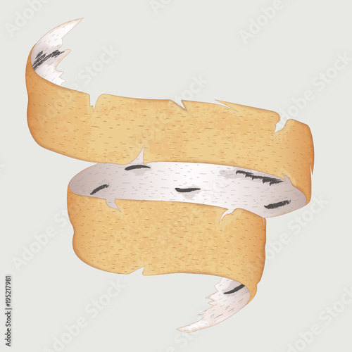 vector illustration of realistic birch bark in the shape of a ribbon twisted edges. long flowing ribbon. isolated on white background