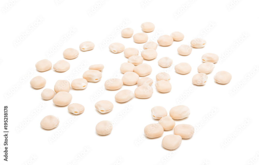 beans lupine isolated beans lupine isolated