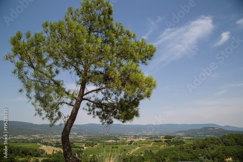 Roussillon, südfranzösische Gemeinde im Département Vaucluse, Region Provence-Alpes-Côte d’Azur und Naturpark Luberon. © st1909