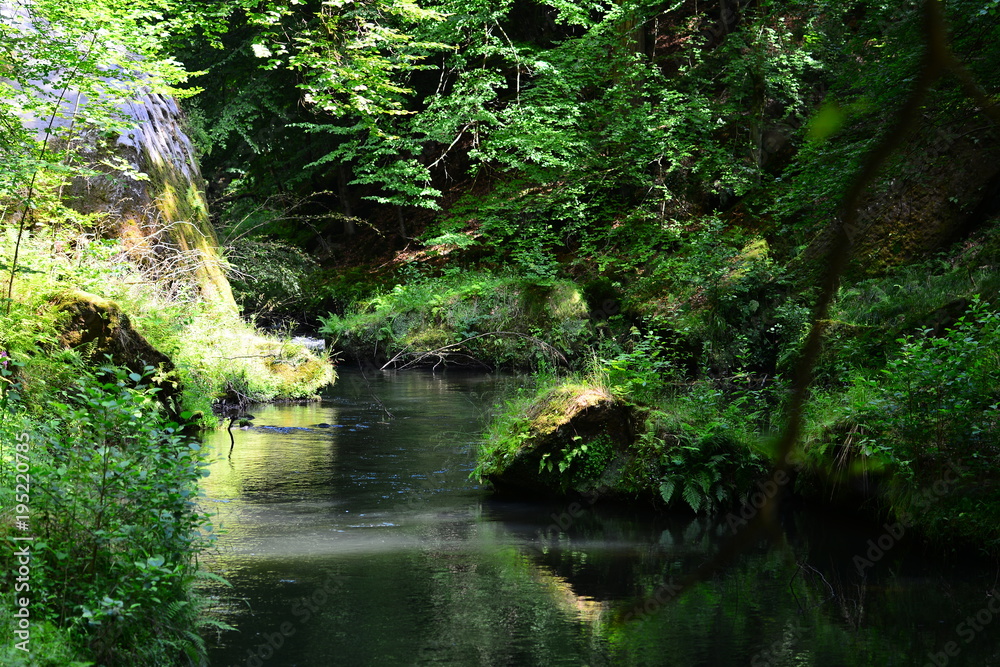 Czech National Park. Beautiful nature. Landscape. Czech National Park. Beautiful nature. Landscape.