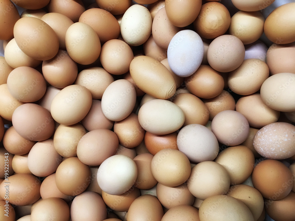 Texture backdrop background Group of round, oval, oblong chicken eggs of high quality white, beige, brown, pastel colors Texture backdrop background Group of round, oval, oblong chicken eggs of high quality white, beige, brown, pastel colors