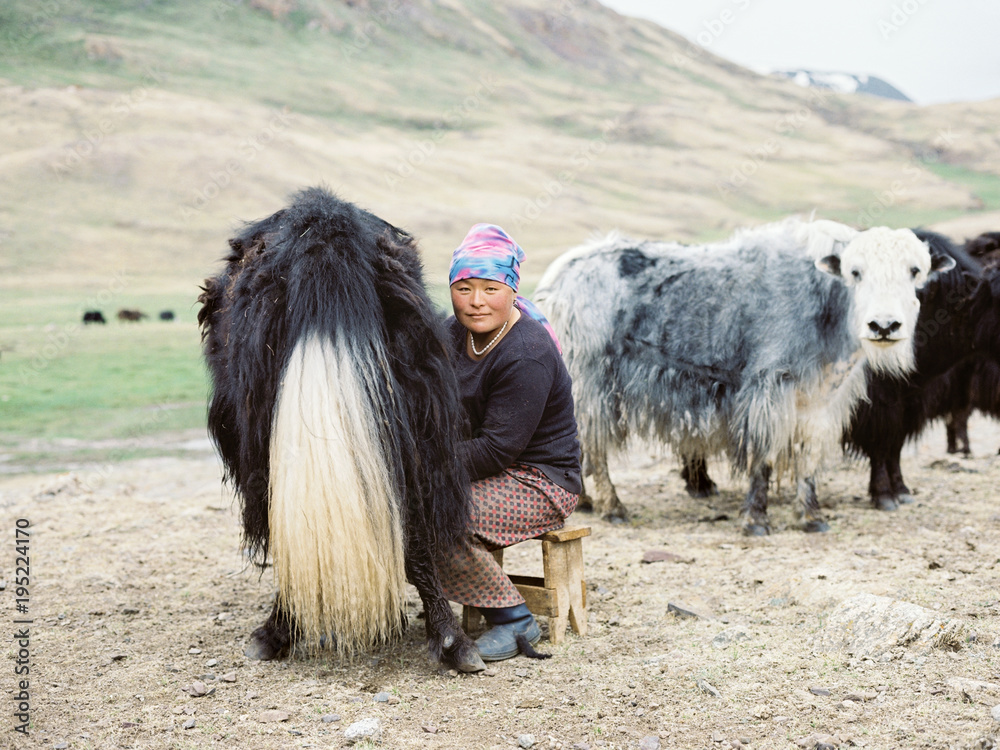 Woman sitting near bison Woman sitting near bison