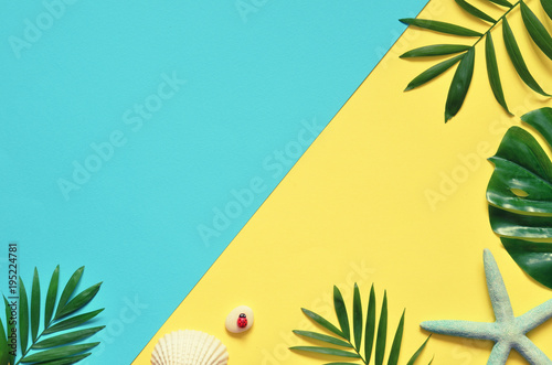Fotografie Tropical Background