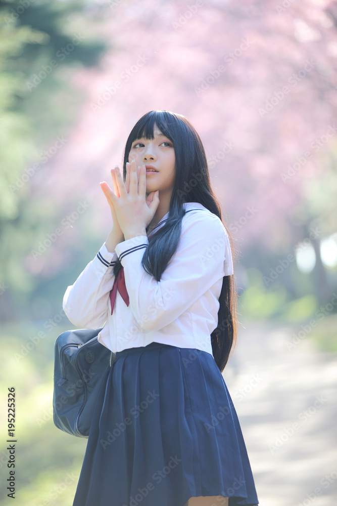 Japanese school girl dress with sakura flower nature walkway Japanese school girl dress with sakura flower nature walkway