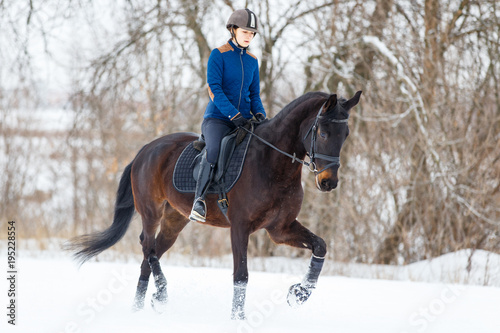 Young rider girl on bay horse walking on snowy field in winter. Winter equestrian activity background with copy space © skumer