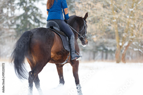 Bay horse with female rider walking on winter field. Equestrian concept image with copy space