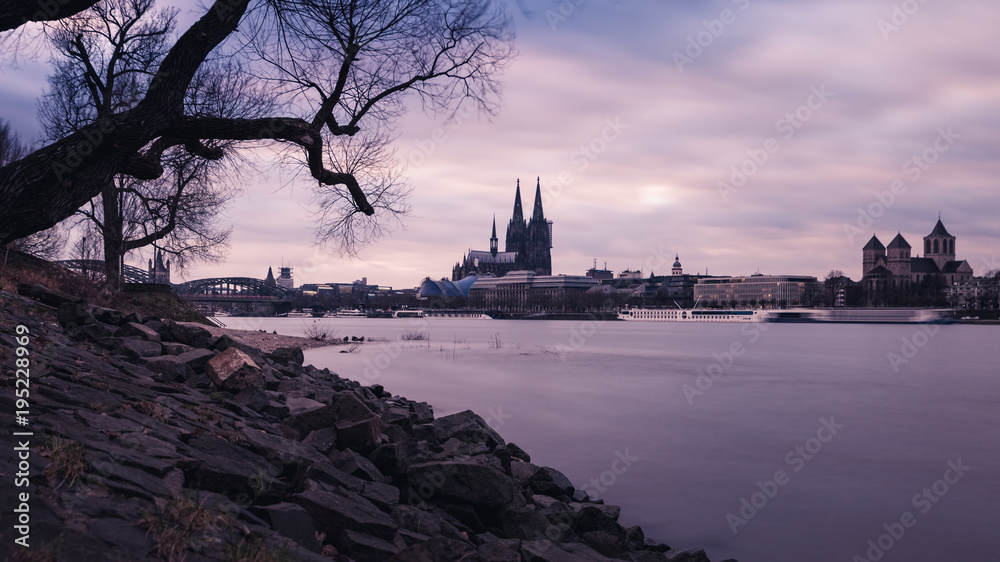 Naklejka premium Cologne cathedral and the rhine