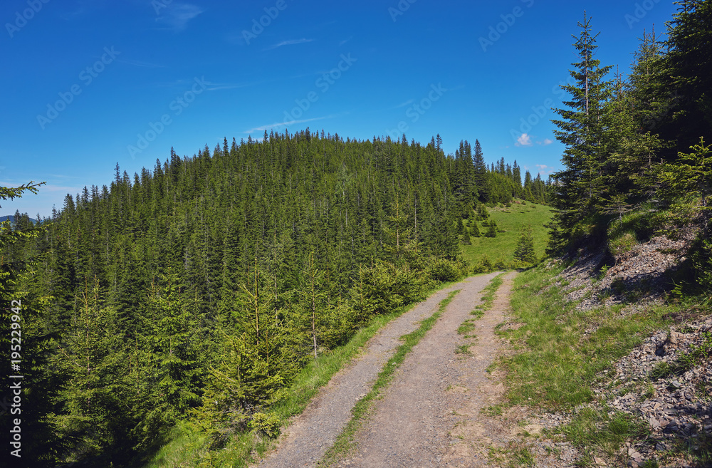 composite landscape. fence near the cross road on hillside meadow in mountains.