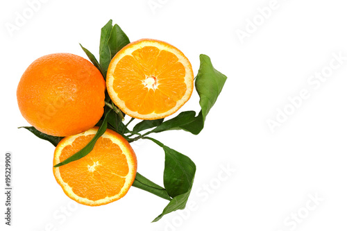 Orange fruit isolated on white background.Top view
