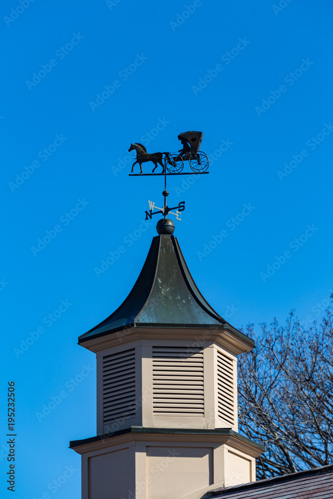 Amish Buggy Weather Vane