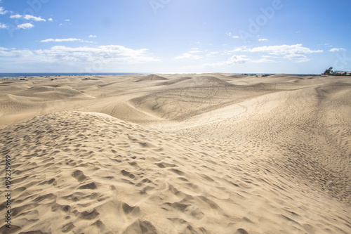 Maspalomas Sand Dune Desert  Grand Canaria