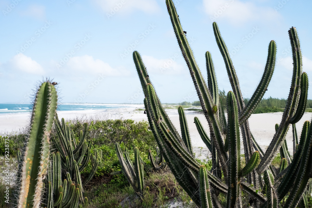 Coastline of Arraial do Cabo, Rio de Janeiro, Brazil