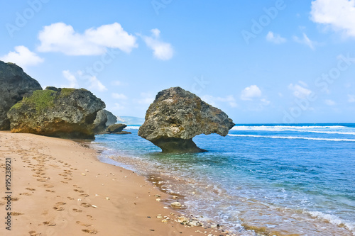 scenic view of bathsheba beach barbados photo