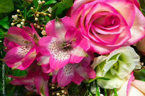 Close up of a bunch or bouquet of pink roses, pink Alstroemeria and white Lisianthus flowers  © IKA
