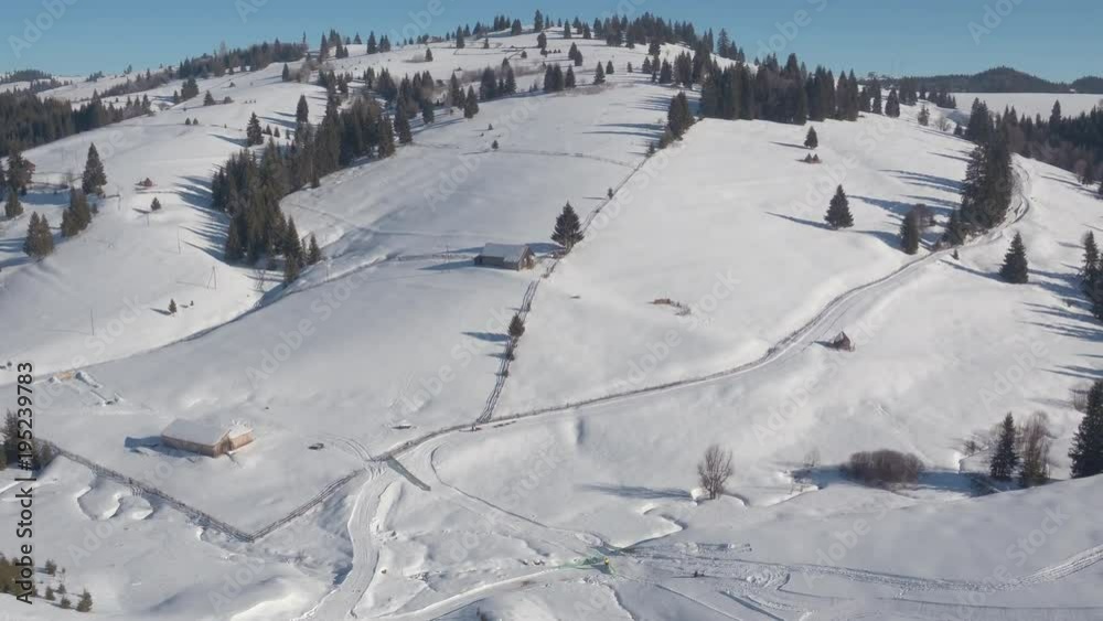 Aerial view of hills with fir trees during winter Aerial view of hills with fir trees during winter