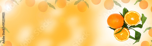Fototapeta Naklejka Na Ścianę i Meble -  Fresh citrus fruits Orange background.Long web format for banner.