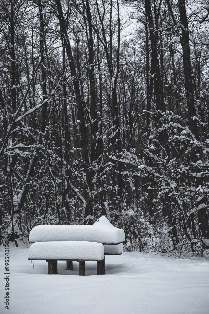 Wooden table and bench covered with snow in the park in winter.