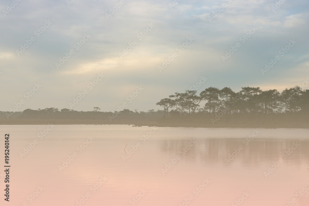 Landscape lake and pine nature view morning time with light effects background