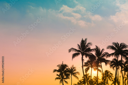 Beautiful tropical sunset. Palm trees and colorful sky. 