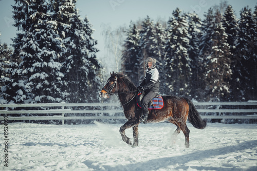 Winter jump horse ride jumping