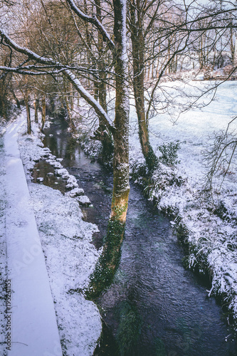 Принти на полотні Rural setting in the village of Carrignavar during Storm Emma, also known as the Beast from the East, which hit Ireland at the start of March: stream surrounded by trees and roads covered in snow