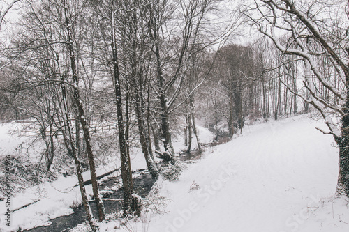 Принти на полотні Rural setting in the village of Carrignavar during Storm Emma, also known as the Beast from the East, which hit Ireland at the start of March: stream surrounded by trees and roads covered in snow