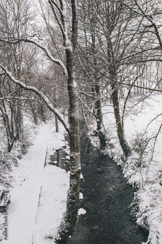 фотографія Rural setting in the village of Carrignavar during Storm Emma, also known as the Beast from the East, which hit Ireland at the start of March: stream surrounded by trees and roads covered in snow