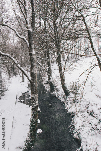 Принти на полотні Rural setting in the village of Carrignavar during Storm Emma, also known as the Beast from the East, which hit Ireland at the start of March: stream surrounded by trees and roads covered in snow