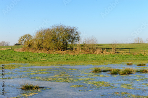 Flooded field on a winter morning