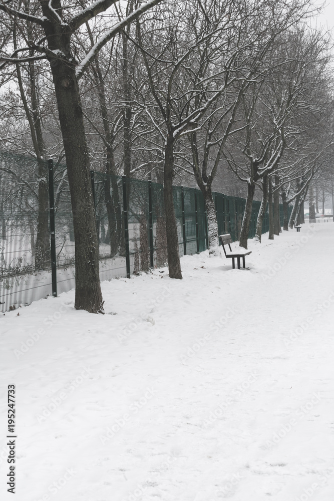 View of a wooden bench and a walk way by a green fence and row of trees covered in snow  during winter season, vintage toned