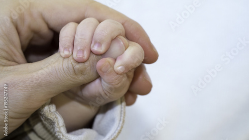 Tiny hand of son hold big hand of dad